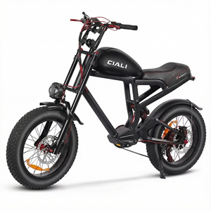 אופניים חשמליים רטרו בסגנון סטימפאנק של Xili Sports, 48 וולט, 750 וואט, 19.2 אמפר/שעה - Product Image 4