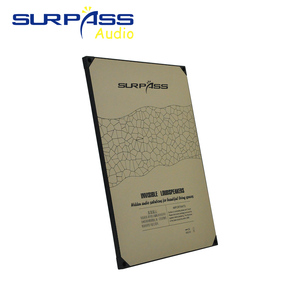 SURPASS IS20 Nuovo Arrivo Altoparlante da Incasso Verniciabile 20W Wireless Full-Range 150-20KHz per Sistema Audio Domestico e Musica di Sottofondo - Product Image 3