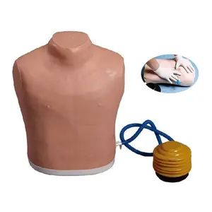 أنبوب الصدر القزم الضغط التوتر استرواح الصدر التمريض نموذج للتدريب