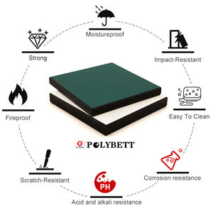 أفضل المبيعات من ألواح الطاولات المقاومة للمواد الكيميائية HPL للمختبرات الكيميائية - Product Image 2