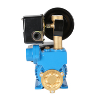 Pompe de surpression d'eau électrique domestique ELESTAR V Wz, auto-amorçante, entièrement automatique, 110V 220V 240V 5 bars, pour usage domestique