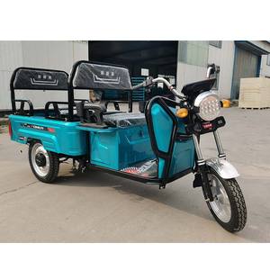 成人电动三轮车2025 500W新款廉价时尚电动运输货物三轮车中国制造商 - Product Image 1