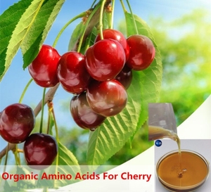 Fertilizzante Liquido Personalizzato con Minerali Chelati agli Amminoacidi Amino+Ca+<span class=keywords><strong>B</strong></span>+Mo, Fertilizzante Organico per Agricoltura - Product Image 4