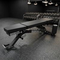 Banc de musculation multifonctionnel réglable en acier inoxydable pour exercices de musculation, triceps et biceps