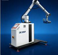 Robot Paletizador Industrial de Alta Velocidad con Control PLC, Seis Ejes, Acero Inoxidable, Caja de Engranajes, Rodamientos, Capacidad de Carga de 30-60 kg