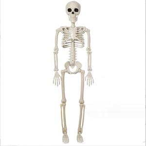 Halloween Squelette Simulation Squelette Humain Fantôme Maison Fête Décoration Props <span class=keywords><strong>Horreur</strong></span> Squelette <span class=keywords><strong>Anatomie</strong></span> Humaine Science Enseignement - Product Image 3