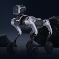 Robot Inteligente MagicDog Y1 MagicBot Z1 Programable