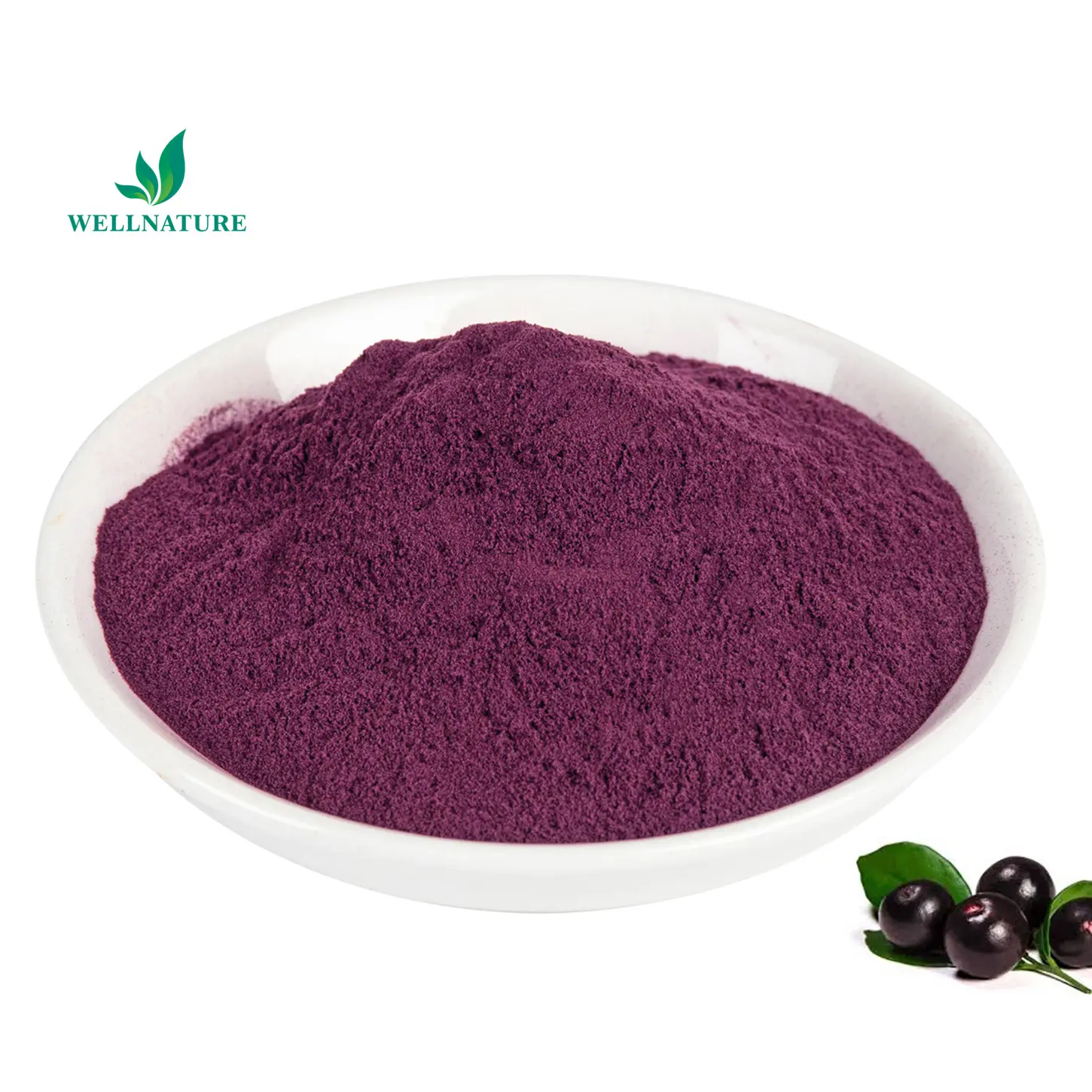 Free Sample Natural Acai Berry Powder Natural Acai Powder Brazilian Acai Berry