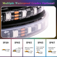 Tira de LED RGBIC Direccionable 5050, Tira de Luz LED RGB de 10m/5m, Rollo WS2811, PCB de 10mm, para E-Sport, KTV, Bar, Personalizable, Impermeable IP65/IP67