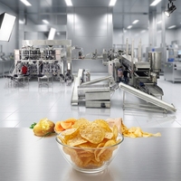 Aardappelchips productielijn 500kg/u continue oliefilterende friteuse voor uniforme kleur en knapperige textuur