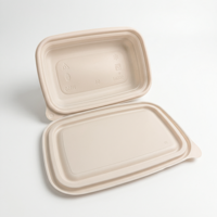 Groothandel Klaar voor Verzending 500ml Biologisch Afbreekbare Maïszetmeel Eéncompartiment Voedselcontainer met Deksel Lekvrij Afhaallocatie Bento Box