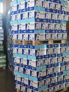 Papel para Copiar A4 de Pulpa de Madera Unifon, Resma y Cartón, 80 g/m² - Product Image 3