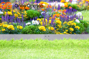 Galvanized Steel Edging Roll - 50ft Continuous <b>Garden</b> <b>Border</b> - Product Image 2