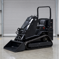 Mini-chargeuse sur pneus T390 à essence monocylindre 192FH R420D XR13.5, moteur EPA EURO5, réservoir de carburant de 5 L, chargeuse compacte sur chenilles