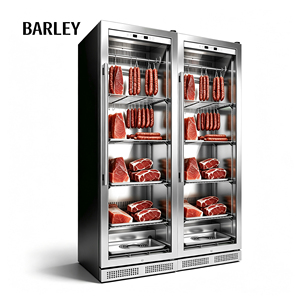 Compressor Stainless Steel Frost-Free Single-Temperature Swing Door Chiller Home Beef Dry Age Meat Household Hotel 415L Single-Z - Product Image 2