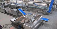 Hete Aanbieding 300kg/uur Volledig Automatische Productielijn voor Diepvriesfrieten Industriële Aardappelchipsmachine