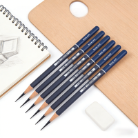 Ensemble de crayons à dessin ZKJ avec mine noire, grades doux/moyens/durs pour les étudiants en art