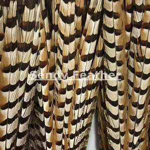 40-45 인치 100-110 cm plumas de faisan 긴 꿩 깃털 꼬리 싼 리브스 큰 꿩 꼬리 깃털 plumas