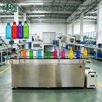 Machines de marquage laser automatiques avec système de convoyeur pour les bouteilles en verre et en plastique, les lignes d'emballage des aliments, des boissons et des cosmétiques