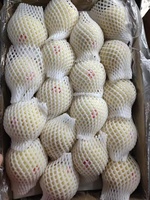 Nieuwe oogst verse peren Chinese leverancier import bulk groothandel aanbod kroonperen verse export