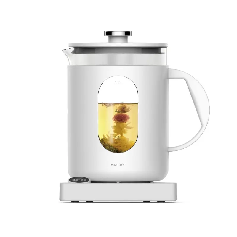 Kettle With Thermostat Control Function Transparent Electric Glass Tea Infuser