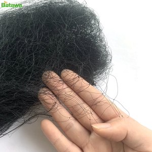 2,4x6m 15x15mm monofilamento huerto planta fruta pájaro agrícola captura murciélago captura niebla red pájaro murciélago captura red - Product Image 3