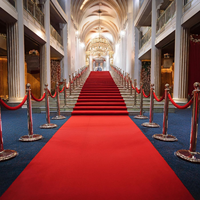Modern Wedding Carpet Roll Non-Slip Bridal Walkway Runner Rugs for Events Exhibition Carpet Wedding Birthday Party Red Carpet