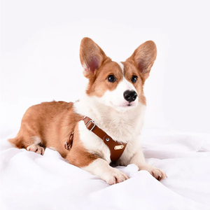 High End Qualidade Luxo Temático Teddy Soft Vegan Pequeno Cão Arnês De Couro Custom Designer logotipo Pet Harnesses Atacado - Product Image 6