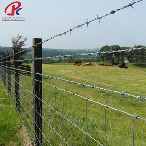 Fil de fer barbelé de haute qualité, haute résistance, <span class=keywords><strong>pas</strong></span> <span class=keywords><strong>cher</strong></span>, ne rouille <span class=keywords><strong>pas</strong></span>, protection murale, fil de fer barbelé en gros, clôture de ferme - Product Image 2