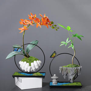 Style moderne Phalaenopsis Bonsaï Jardinière Rétro Fer Micro Paysage <span class=keywords><strong>Bassin</strong></span> Arbre Riche Intérieur Île <span class=keywords><strong>Flottante</strong></span> Rétro Riz Bambou - Product Image 1