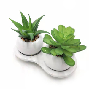 Artificial Succulents <strong>Plant</strong> <strong>Ceramic</strong> <strong>Pot</strong> with Tray - Product Image 2