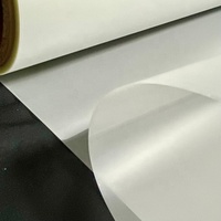 Design personnalisé Plastisol en fer Papier d'impression par transfert de chaleur Vinyle pour sérigraphies DTF Transferts pour vêtements en plastique caoutchouc