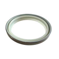 Joint d'étanchéité en métal DKBI à double lèvre pour protection de tige de vérin hydraulique