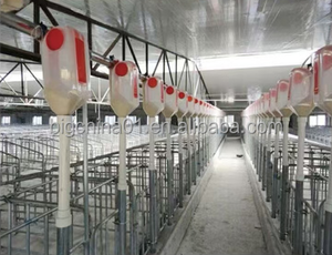 Ventes directes d'usine Caisses de gestation Vente de liquidation Cages de gestation en acier de type H Élevage de porcs Service à guichet unique Hot-Dip - Product Image 3