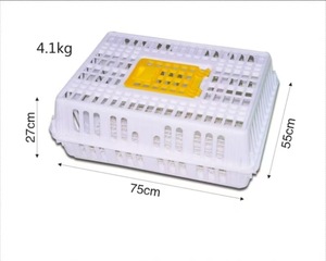 Caixa de Transporte para Aves em Material PP Novo, Atacado de Fábrica, Gaiola para Frango e Pato, Transporte Agrícola com Longa Vida Útil - Product Image 2
