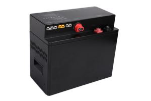 12/24 Volt <span class=keywords><strong>Powerbank</strong></span> 50000 24 V <span class=keywords><strong>200Ah</strong></span> 80Ah Lifepo4 Lithium Grille Banque de batterie 3000 Watt Batterie de voiture externe spéciale pour un usage domestique - Product Image 5