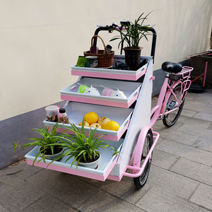 Xe Trishaw Được Rút Ra Bởi Người Đàn Ông Giỏ Hàng Xe Đạp Ba Bánh Nhà Cung Cấp Bán Buôn Giỏ Peddling Giỏ Hàng Trái Cây Và Hoa Peddling Ba - Product Image 3