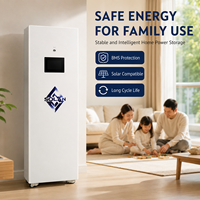 Armoire de stockage d'énergie mobile LiFePO4 51,2 V 420 Ah avec CAN RS485 pour connexion à l'onduleur