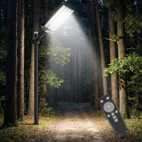 Projecteur LED Solaire Commercial 48 Lentilles Intégrées pour Éclairage Public, Unité de Sécurité Optique de Précision pour Zones de Surveillance et Distribution