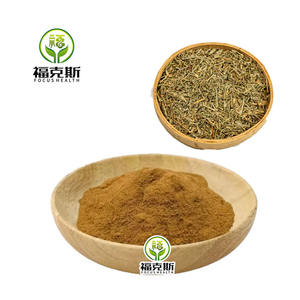 Extrait de Prêle Certifié Biologique, 10% de Silice Naturelle, pour la Beauté Holistique et les Compléments Alimentaires - Product Image 4