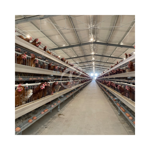 กรงแบตเตอรี่ไก่นก120สำหรับสำนักงานและคลังสินค้าใน Lagos และ Abuja - Product Image 2