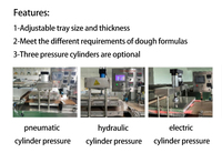 Machine à crêpes automatique professionnelle en acier inoxydable, plaque antiadhésive pour la préparation de crêpes plates pour le petit-déjeuner et les restaurants