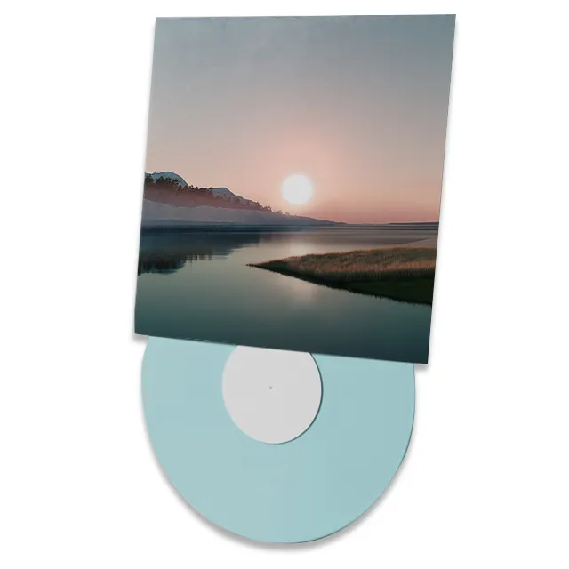 Replica e stampa su disco personalizzati con musica in vinile OEM