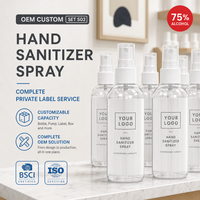 Spray désinfectant pour les mains à 75 % d'alcool, écologique, OEM, vente en gros, programmes de vente au détail, projets d'approvisionnement pour entreprises, prix d'usine