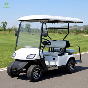 Moteur AC Beemotor 3.5kw 4kw 5kw en promotion pour voiturettes de <span class=keywords><strong>golf</strong></span> électriques 4 places, petites et économiques - Product Image 1