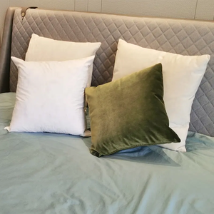 60*60 lông vịt trắng 2-4cm Đệm gối chèn sản xuất đệm lông vịt trắng cho cơ thể trở lại - Product Image 5