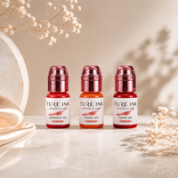Encre de tatouage PMU bio, végane et non toxique pour maquillage permanent et microblading, pigment pour les lèvres - OEM disponible