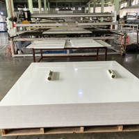 Panel Padat Tebal Polipropilena (PP) untuk Sistem Akuakultur, Grade Makanan, Pemotongan Ketebalan Kustom, Tahan UV, Hasil Mesin CNC