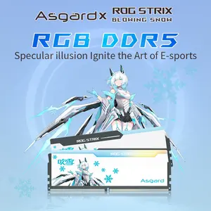 Asgard ROG DDR5 Ram 32G (16Gx2) 6000 6400 6800 MHz mendukung motherboard ddr5 ram 32G ddr5 untuk PC desktop