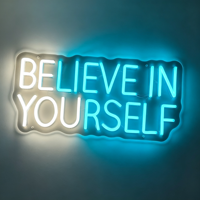 Enseigne néon LED personnalisée en acrylique PVC pour logo d'entreprise, vitrine, publicité et décoration, étanche IP65